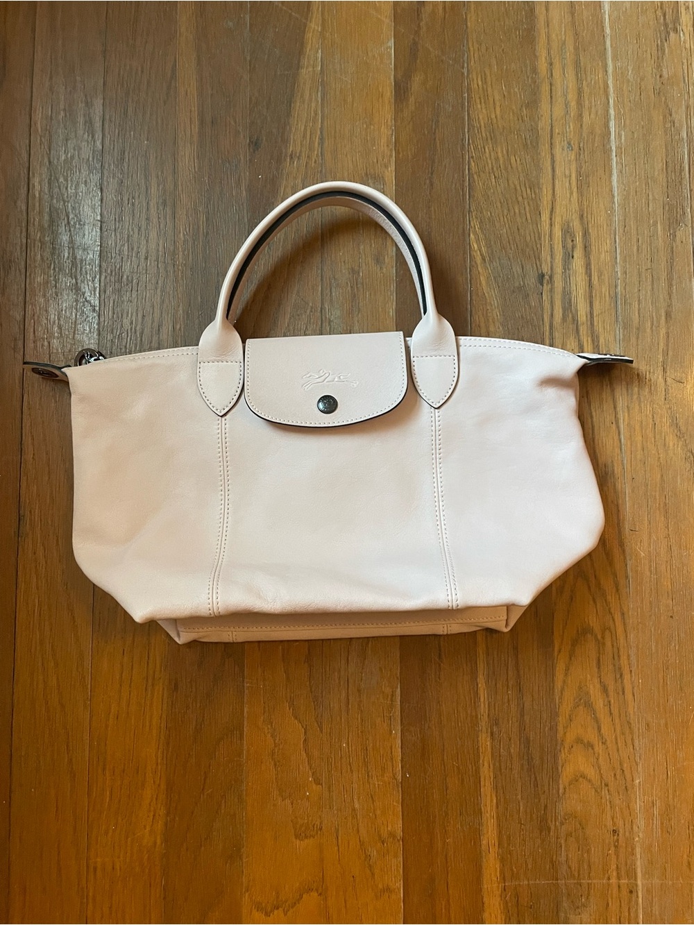 Longchamp Le Pliage Cuir Small Leather Tote in Light Pink